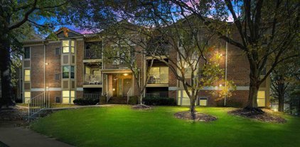203 Star Pointe Ct Unit #1B, Abingdon