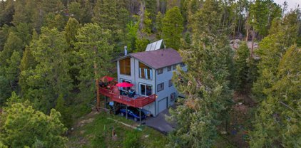 32552 Lodgepole Drive, Evergreen