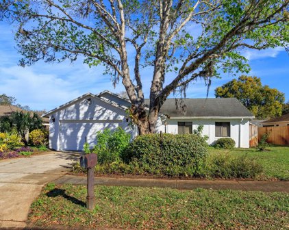 2520 Dorothy Circle, Titusville