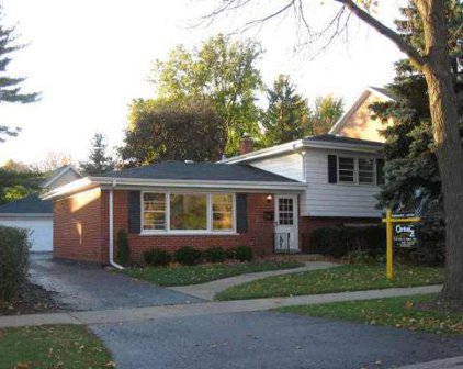 206 N Douglas Avenue, Arlington Heights