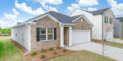 1960 Vidalia Court - Lot 263, Dacula