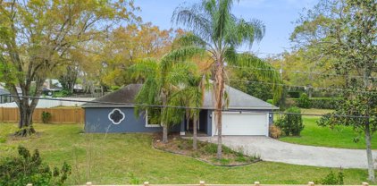 15602 Willowdale Road, Tampa