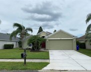 23641 Estero Court, Land O' Lakes image
