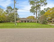 1317 Bob White Avenue, Katy image