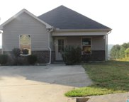 867 Kent Drive, Odenville image
