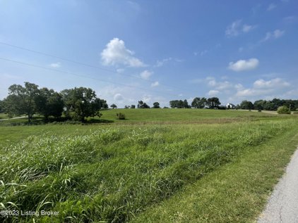 Tract 15 Orphan Ln, Shelbyville