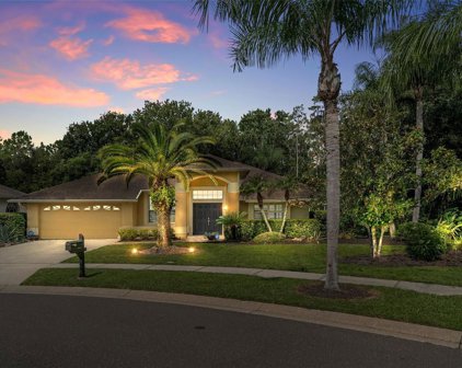 850 Crestridge Circle, Tarpon Springs