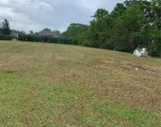 10928 Brooksnest Court, Lithia image