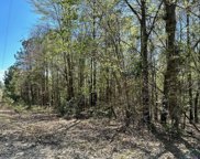 TBD Private Road 2234, Gilmer image