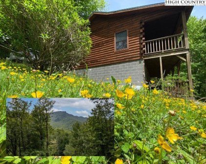 239 Dutch Treat Road, Banner Elk