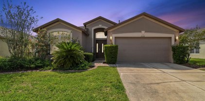 31410 Wrencrest Drive, Wesley Chapel