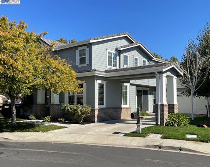 5224 N Forestdale Cir., Dublin
