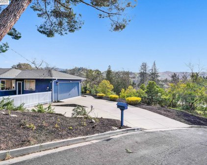 25 Julianne Ct, Walnut Creek