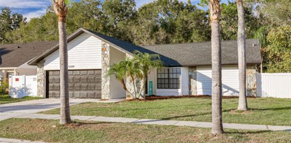 12209 Steppingstone Boulevard, Tampa