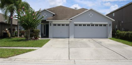 10406 Meadow Spring Drive, Tampa