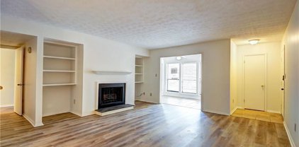 313 River Mill Circle, Roswell