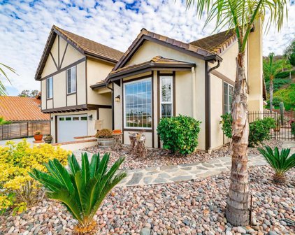 31207 Old River Rd, Bonsall