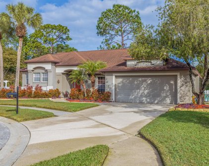 7201 Forestedge Court, New Port Richey
