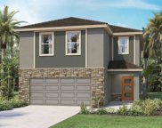 31852 Oyster Trellis Lane, Wesley Chapel image