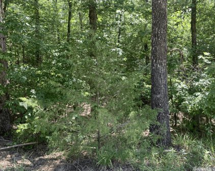 TBD (Lot 14) Denby Cove Subdivision, Mount Ida