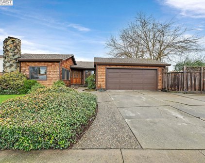 513 Van Buren Pl, San Ramon