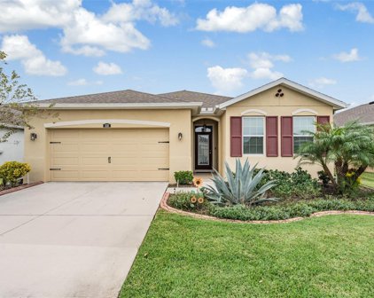 1128 Pipestone Place, Wesley Chapel