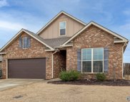 16825 Carriage Station Drive, Harvest image