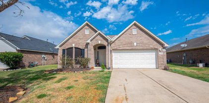 526 Arbor Green Lane, Rosenberg