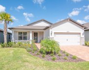 20314 Sea Glass Circle, Land O' Lakes image