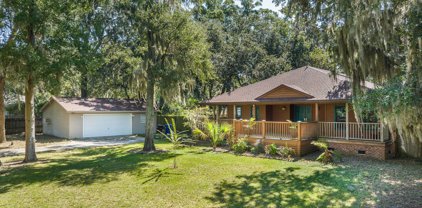 463 Japonica Road, Mount Pleasant
