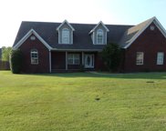 623 Elizabeth Dr, Atoka image