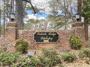 Saluda Blvd, Spanish Fort image