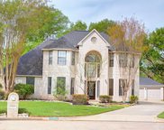 23009 Briarhorn Drive, Spring image