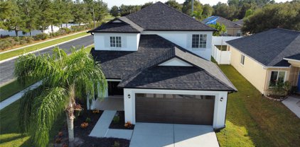 31234 Masena Drive, Wesley Chapel