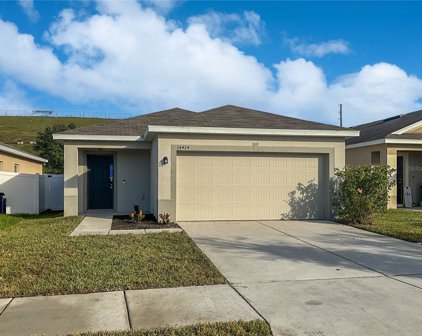 14424 Haddon Mist Drive, Wimauma