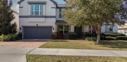 16005 Ollivett Street, Winter Garden