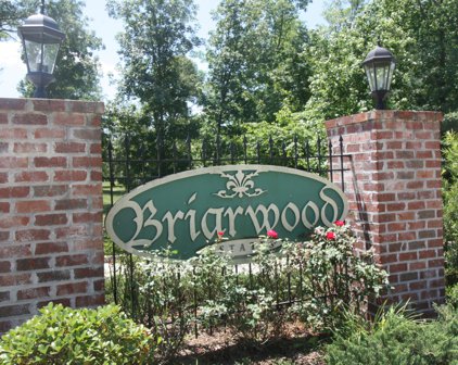 00 Briarwood Estates, Petal