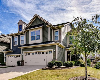 227 Butterfly  Place, Tega Cay