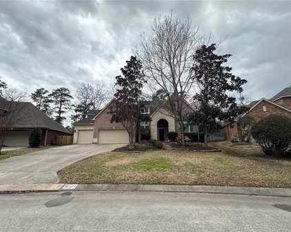 14 S Dulcet Hollow Circle, The Woodlands