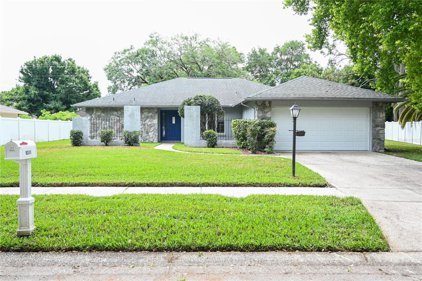 9311 Pebble Creek Drive, Tampa