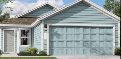 1339 Art Wall Way, San Antonio