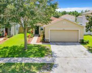 18924 Parapet Place, Land O' Lakes image