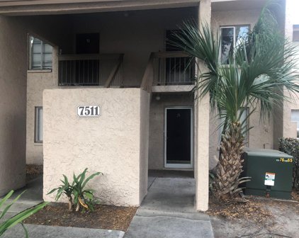 7511 Presley Place Unit 97, Tampa