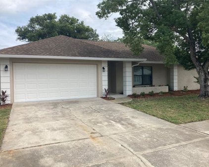8722 Martinique Lane, Port Richey