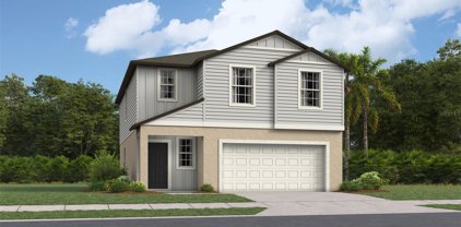 13519 Sunset Sapphire Court, Parrish