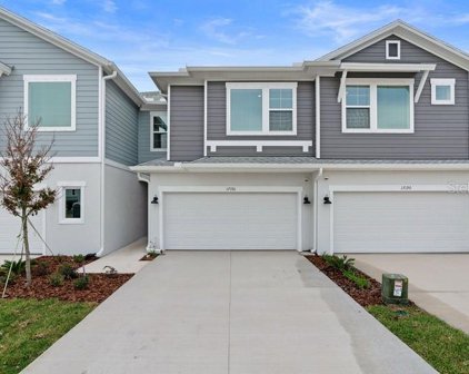 17196 Balance Cove, Land O' Lakes