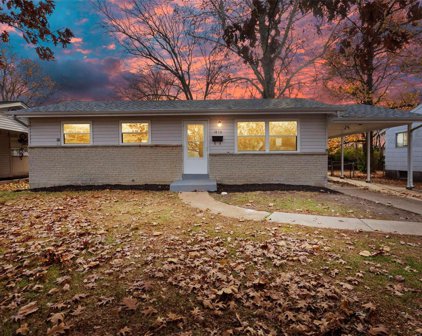 1870 Shirlene  Drive, Florissant