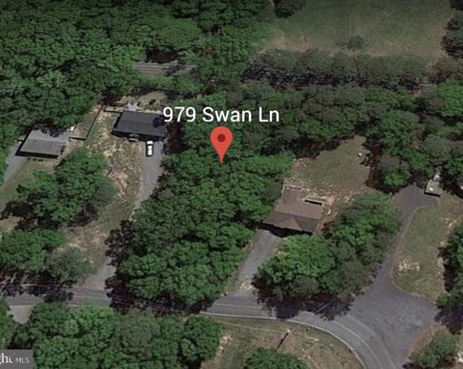 979 Swan Ln, Ruther Glen