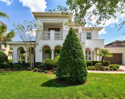 5906 Alana Leigh Place, Lithia