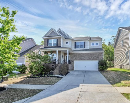1817 Sapphire Meadow  Drive, Fort Mill